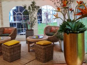 Sempre Egg Chair Sessel 3